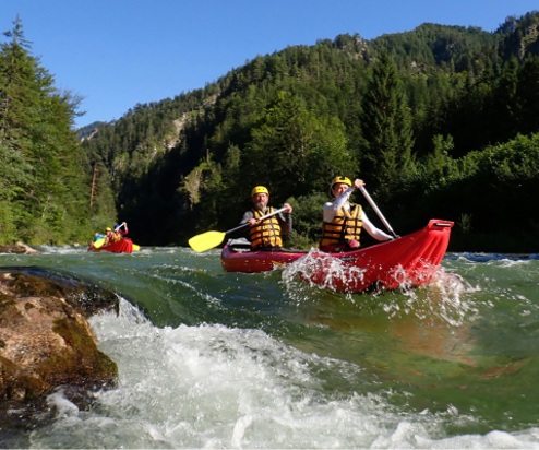 A group of people kayaking among forest woodlands