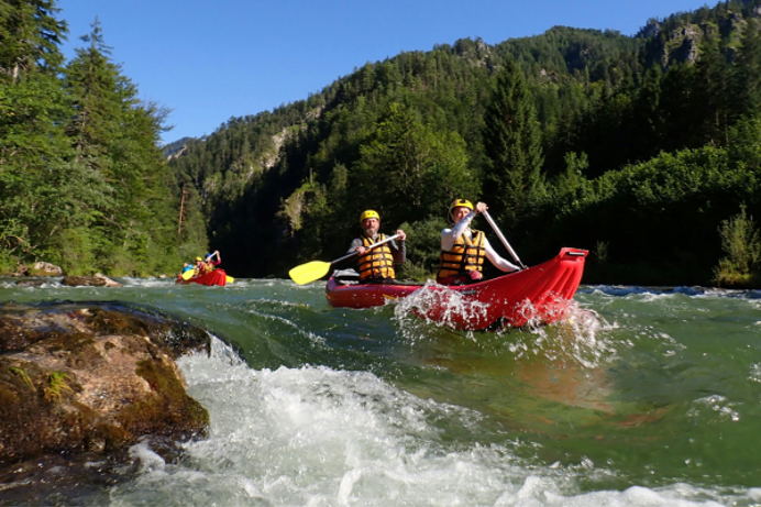 A group of people kayaking among forest woodlands