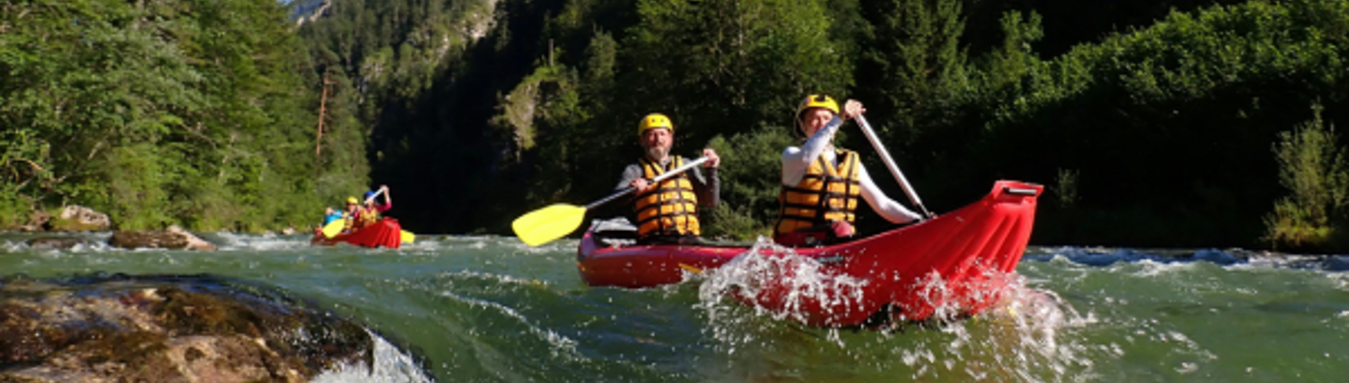 A group of people kayaking among forest woodlands