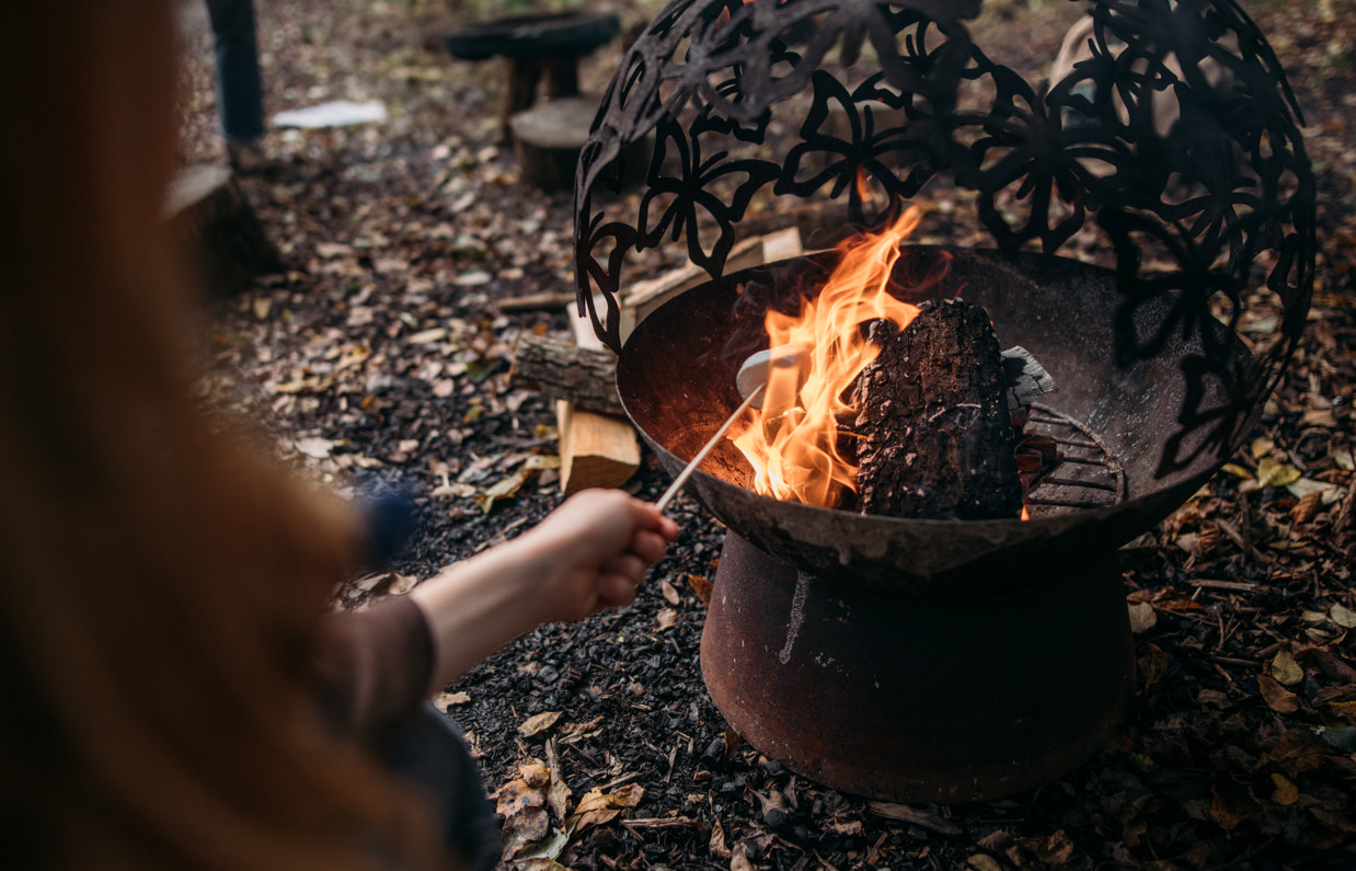 A fire in the woods with marshmallows being toasted on it