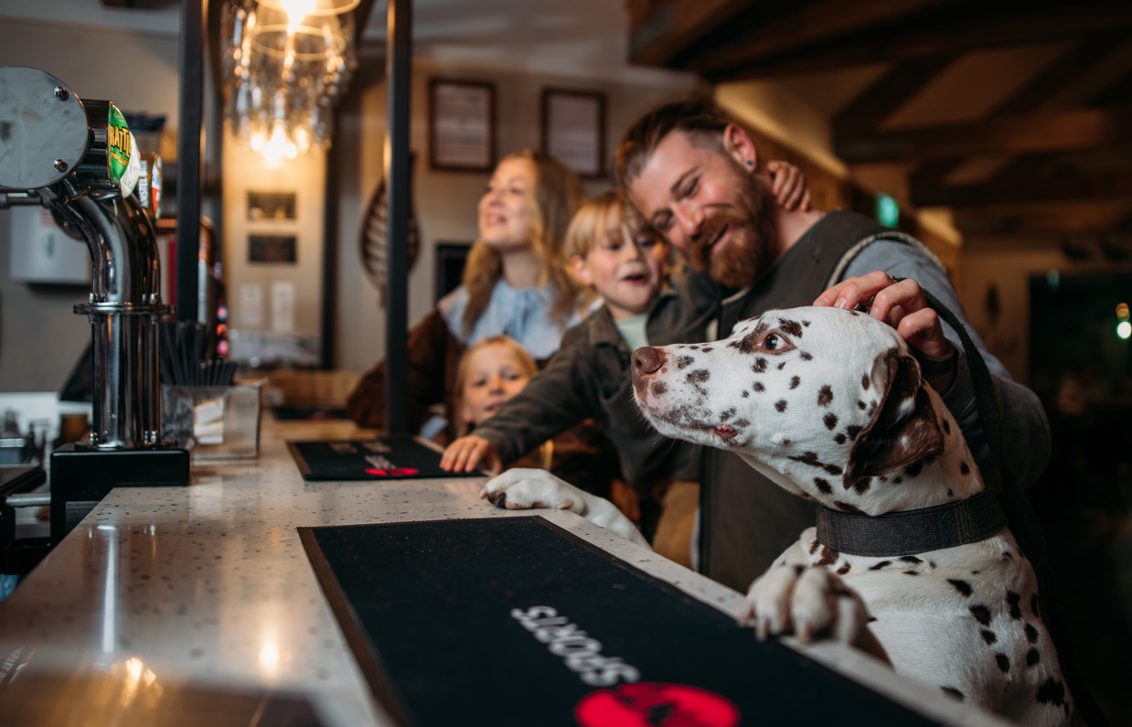 Family at bar with dalmation dog