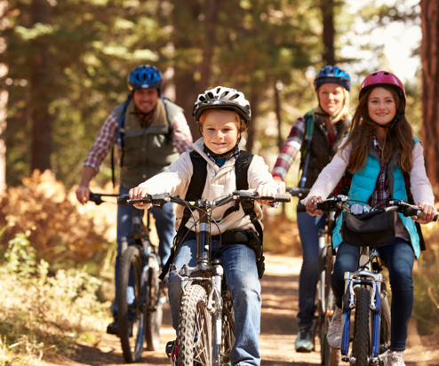 A family of four cycling through woodland
