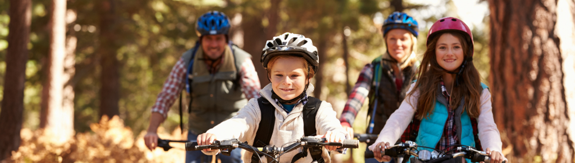 A family of four cycling through woodland