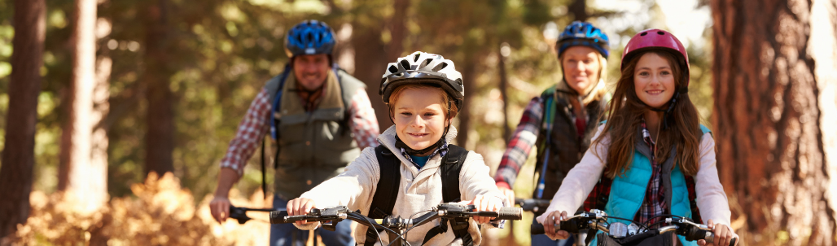 A family of four cycling through woodland