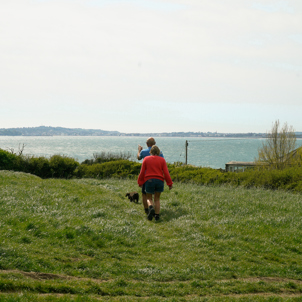 A couple and a dog walking along the coast path with the sea, Weymouth and Portland in distance