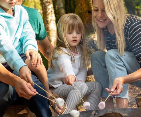 A family of four toasting marshmallows on the fire among woodland