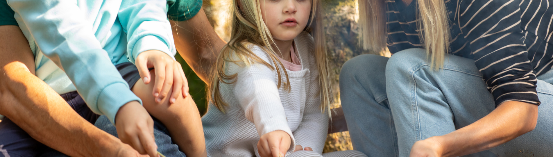 A family of four toasting marshmallows on the fire among woodland