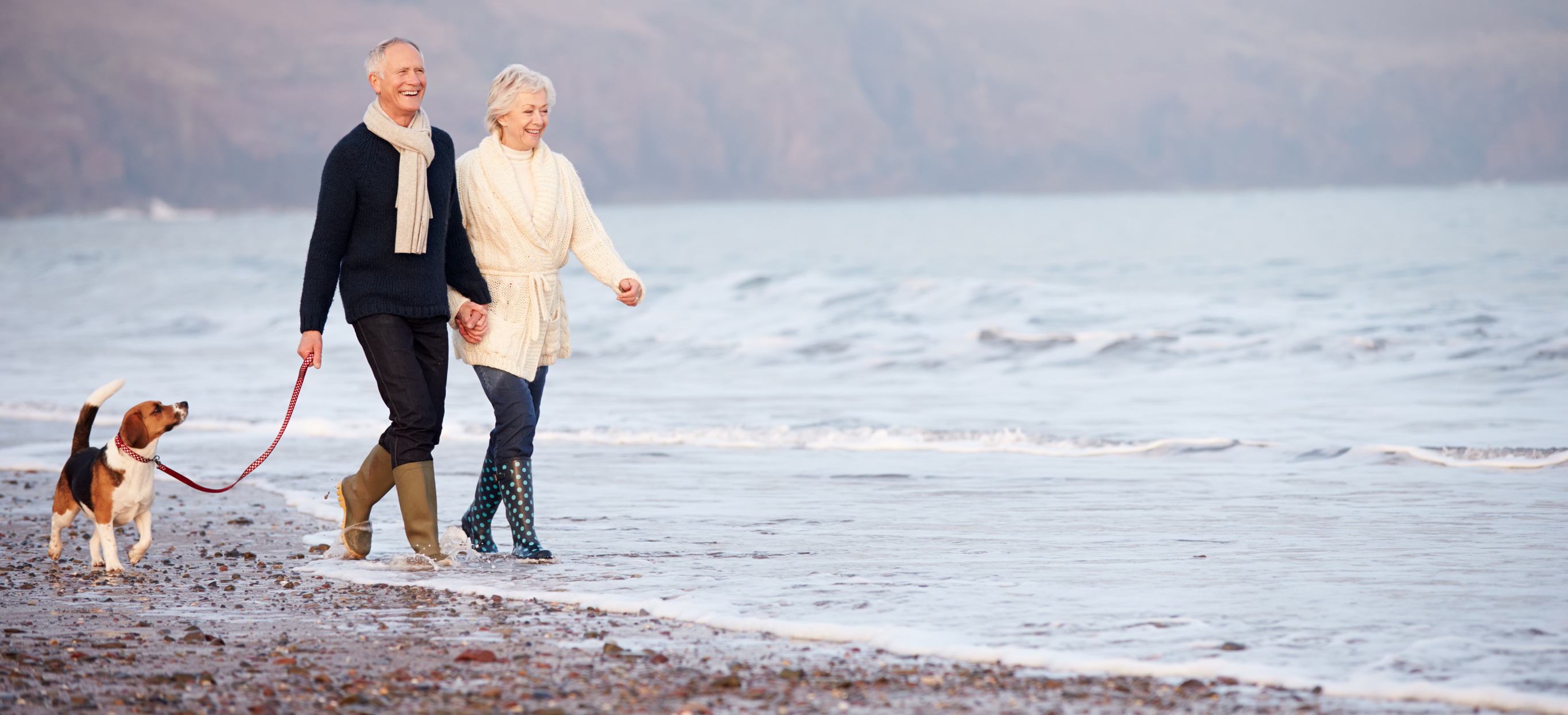 Couple walking on beach with dog in autumn