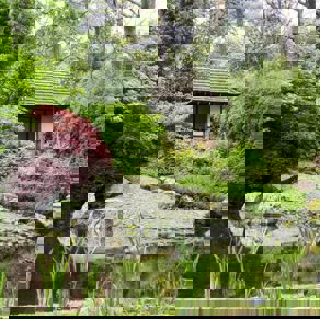 A tranquil garden spot within Pinetum Gardens