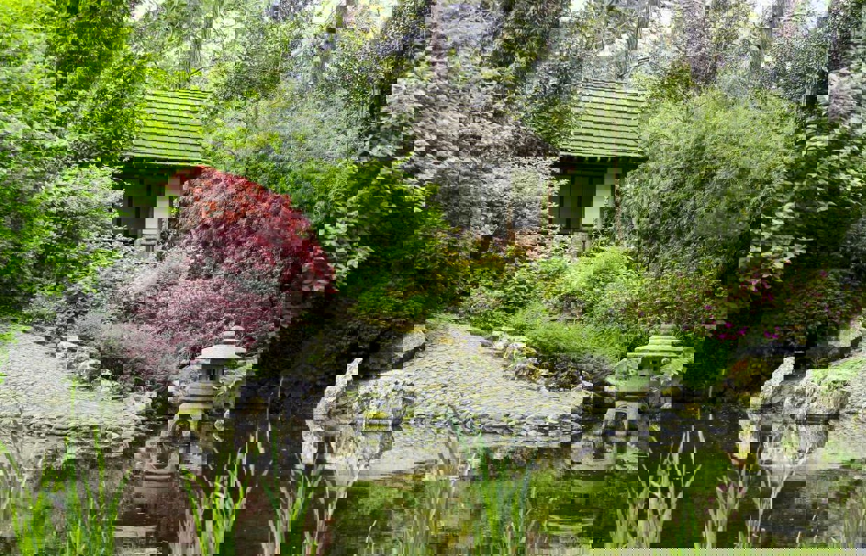 A tranquil garden spot within Pinetum Gardens