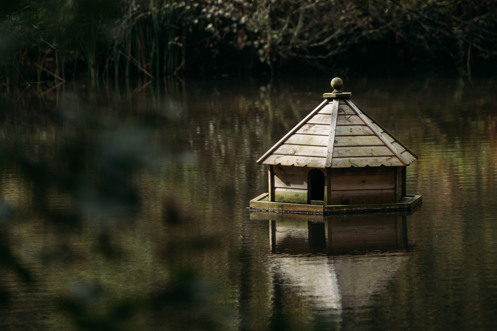 Fishing Lake at Tregoad Holiday Park Cornwall
