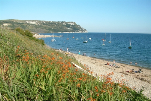 A shingle beach with calm sea, rocky cliffs and various boats on a sunny blue sky day