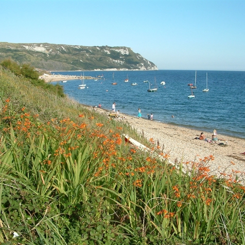 A shingle beach with calm sea, rocky cliffs and various boats on a sunny blue sky day