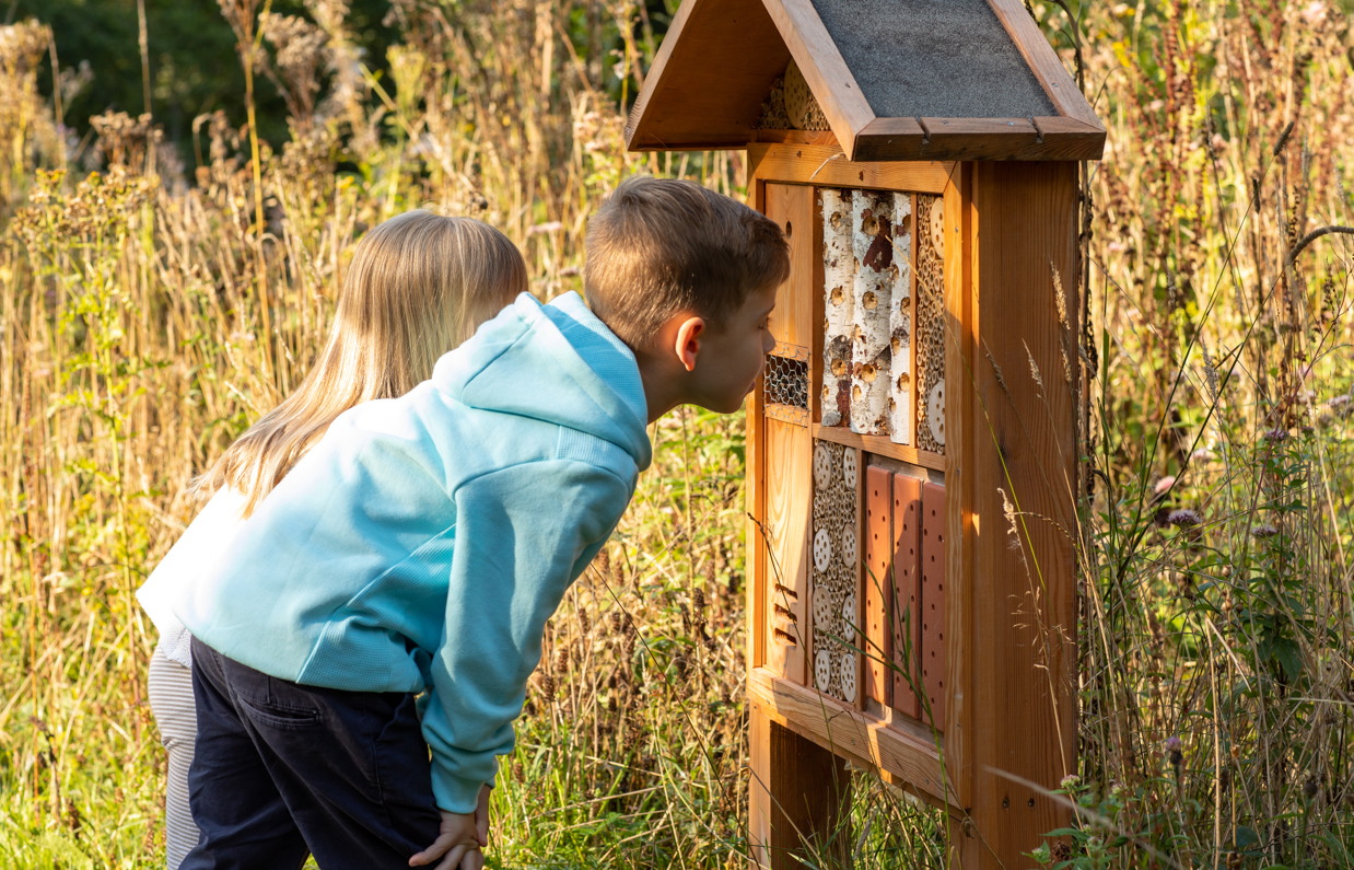 A young boy and girl looking for wildlife in a nature habitat among woodland