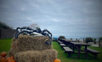 A Halloween scene by the coast with pumpkins and spiders