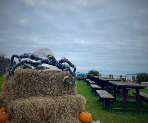 A Halloween scene by the coast with pumpkins and spiders