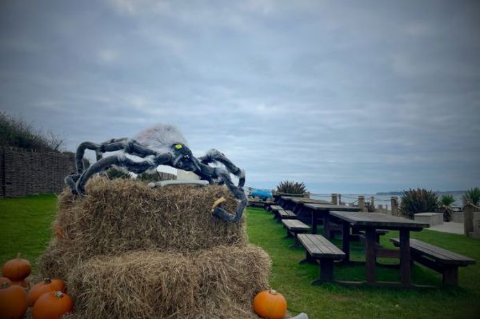 A Halloween scene by the coast with pumpkins and spiders