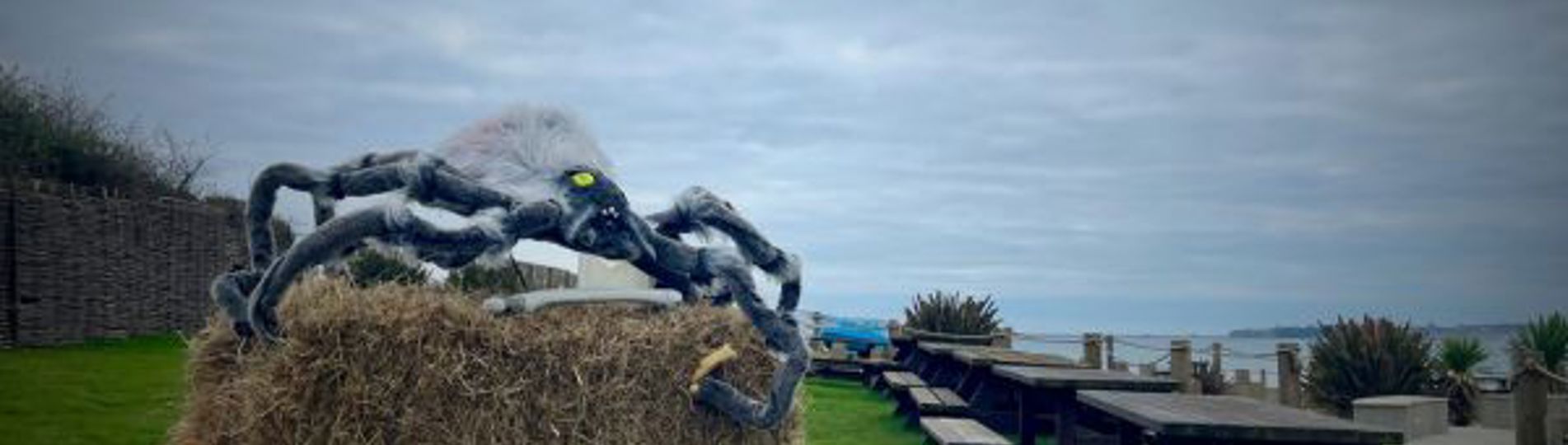 A Halloween scene by the coast with pumpkins and spiders