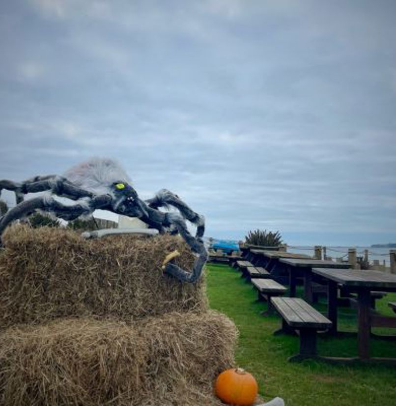 A Halloween scene by the coast with pumpkins and spiders