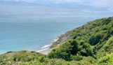 A cove with blue water down a rocky hill with lots of greenery