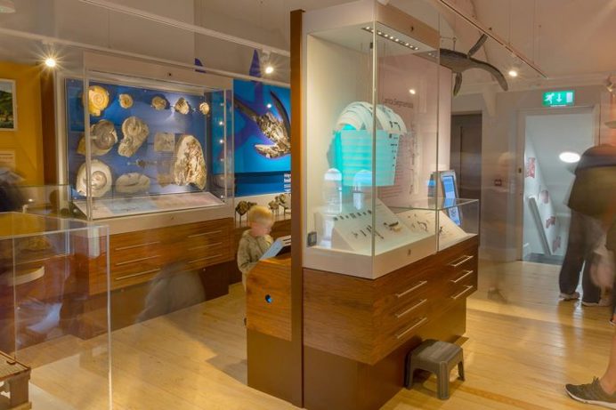 A child and some adults looking around an exhibit in a museum