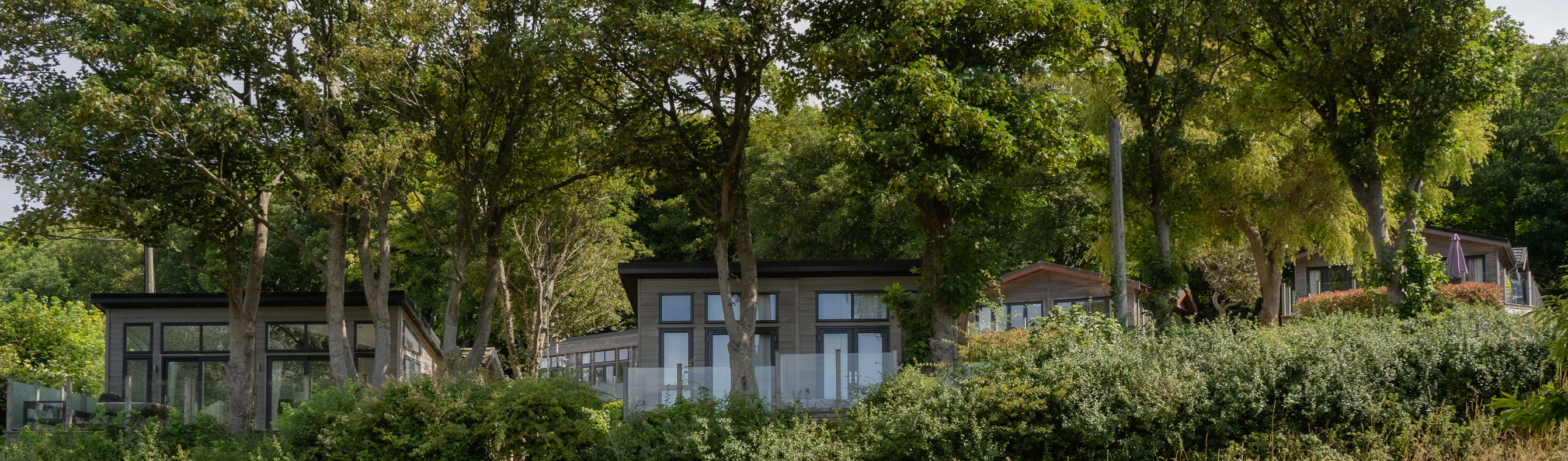 Holiday lodges among woodland 