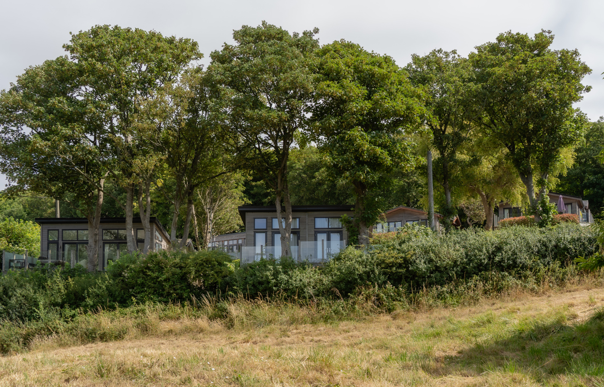 Holiday lodges among woodland 
