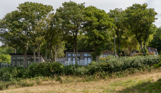Holiday lodges among woodland 