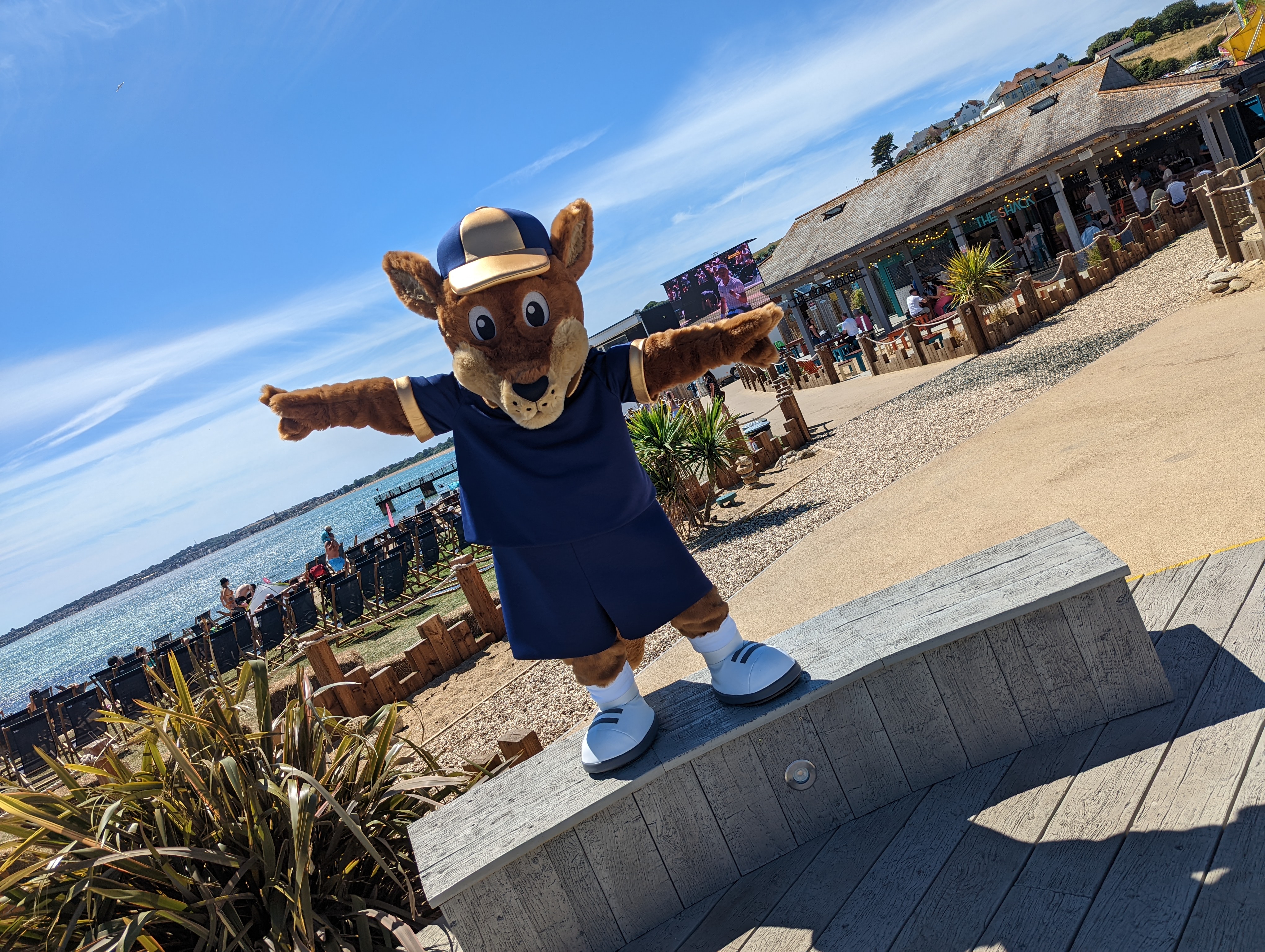 A kangaroo mascot, Boomer, at Southside Green overlooking the sea