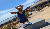 A kangaroo mascot, Boomer, at Southside Green overlooking the sea