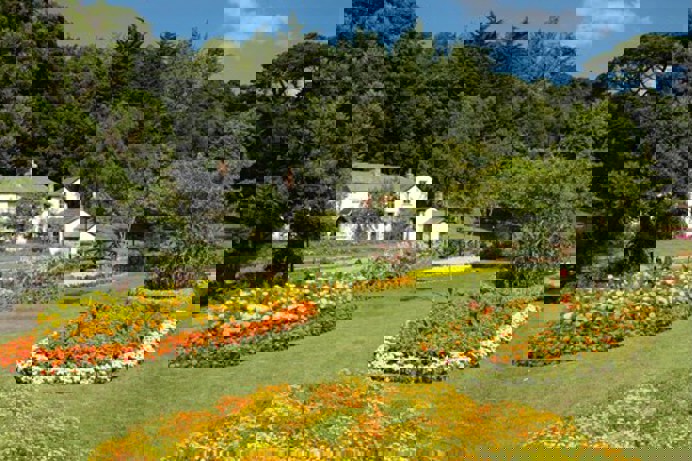 A quaint quiet visitor gardens with flowers and trees