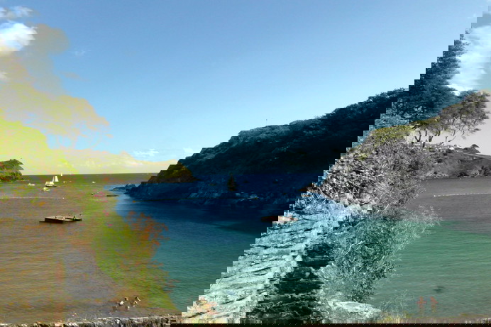 A small cove with boats in the water and grassy headlands