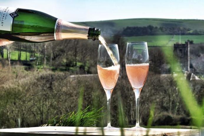 Two wine glasses having wine poured into them in the countryside