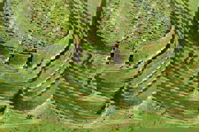 An old castle grounds representation 