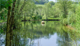 A lake surrounded by trees and woodland on a sunny blue sky day