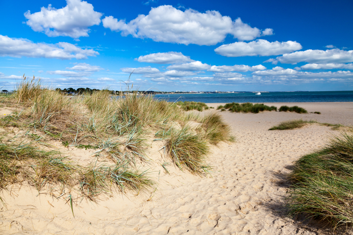 A sandy grassy beach with far stretching views across the blue sea