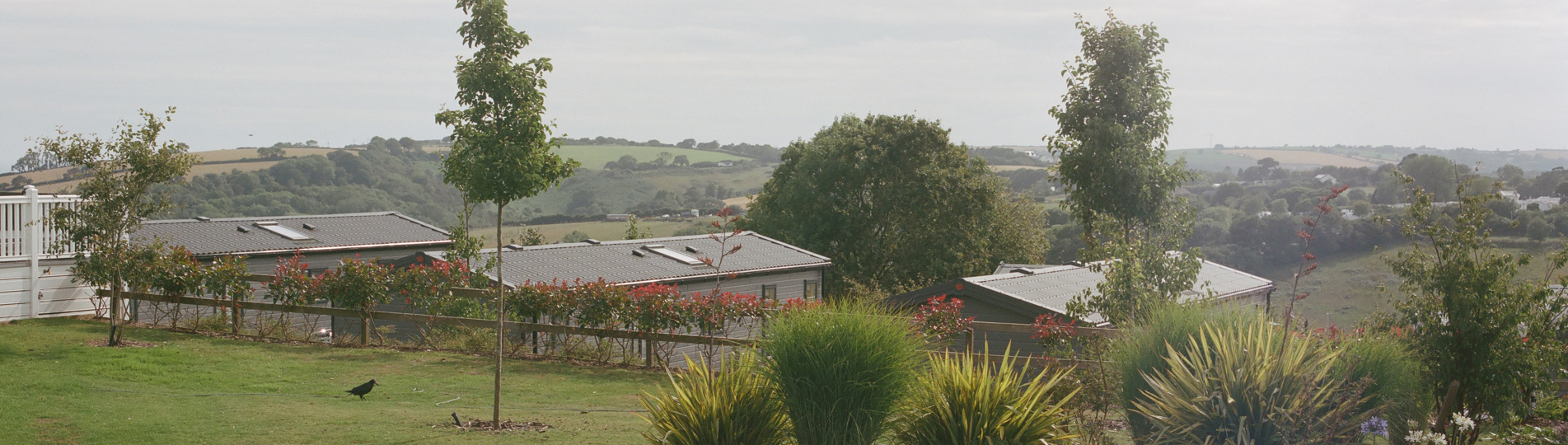 The views out towards countryside from Tregoad Holiday Park