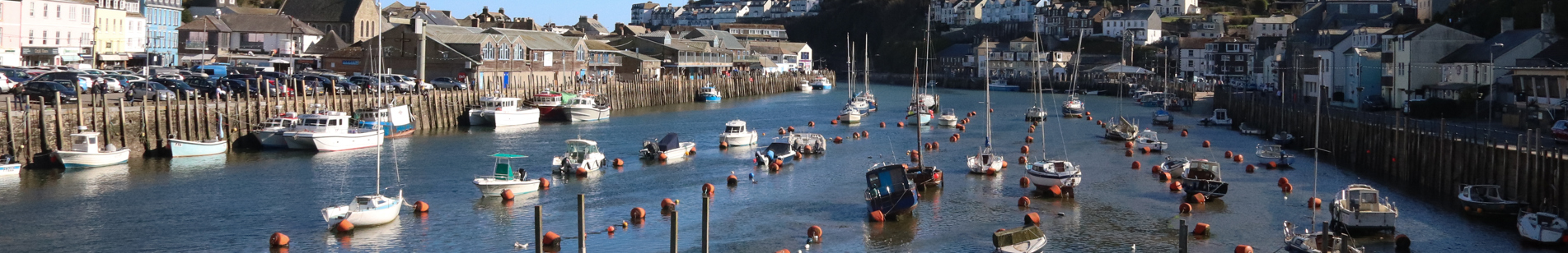 View of harbour in Looe from bridge