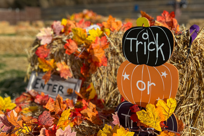 Halloween and autumn decor on a hay bale