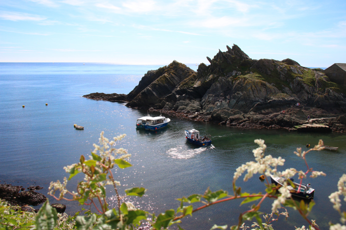 A view of the sea from the coast path with harsh rock cliff faces, flowers and fishing boats on a sunny blue sky day