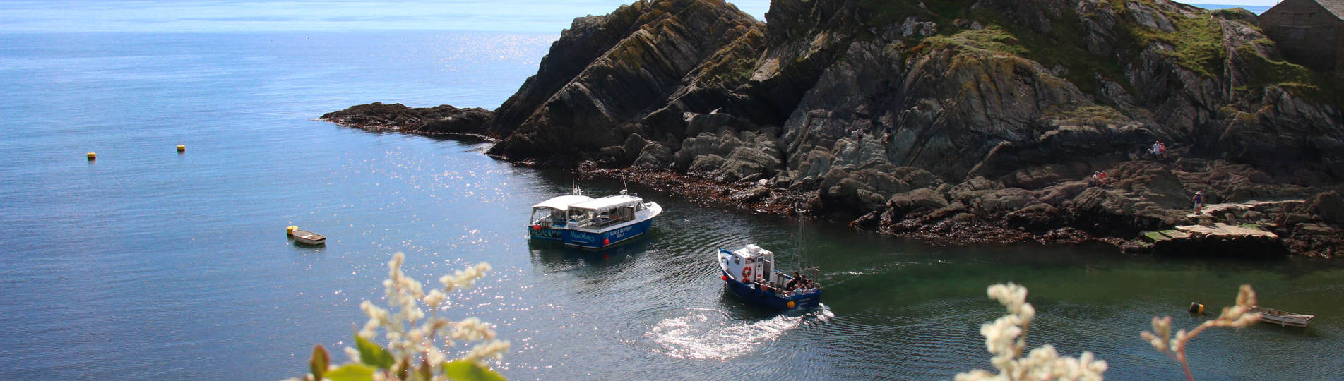 A view of the sea from the coast path with harsh rock cliff faces, flowers and fishing boats on a sunny blue sky day