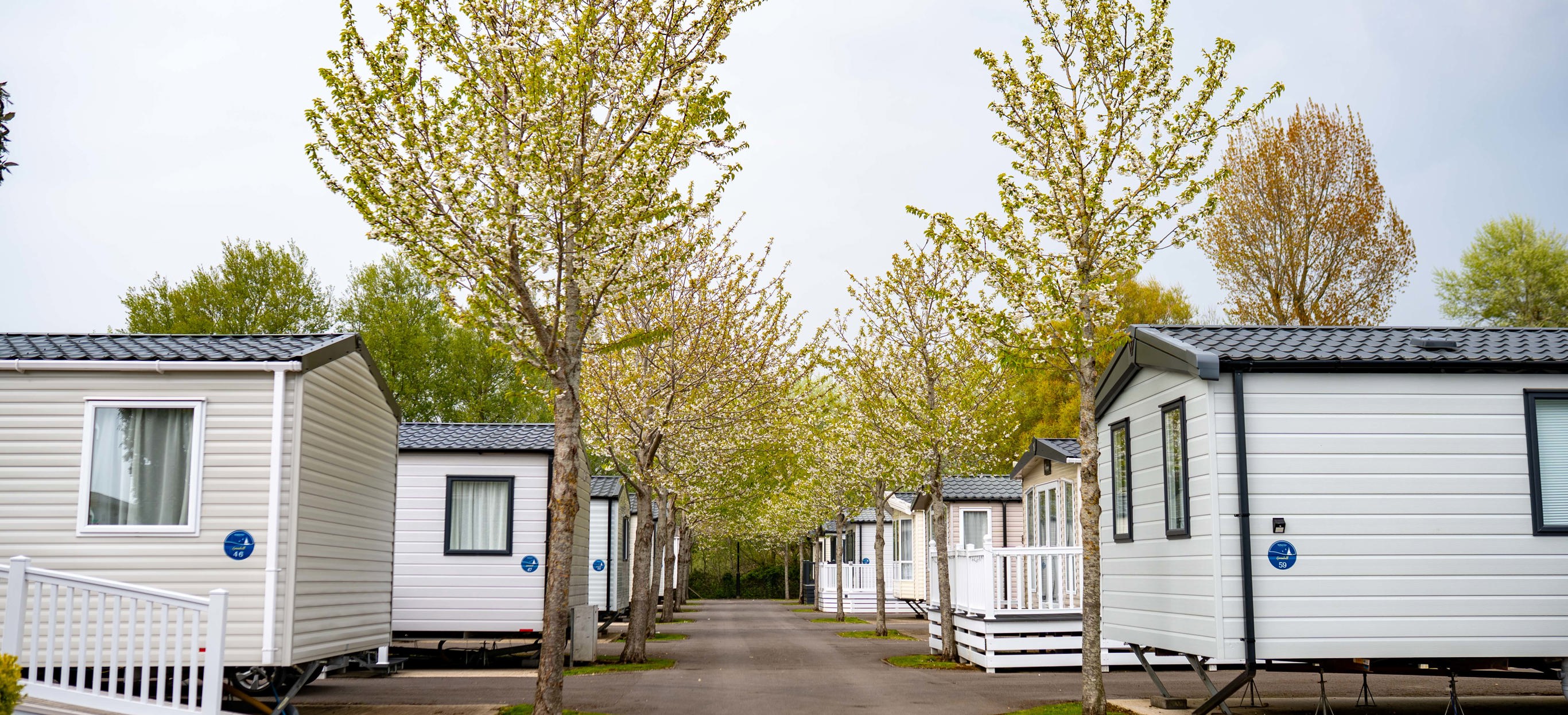 A range of caravans in a small road on Bowleaze Cove Holiday Park & Spa surrounded by trees