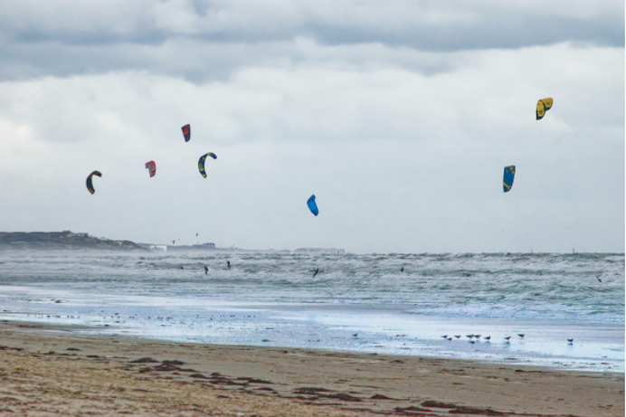 A group of wind surfers at sea