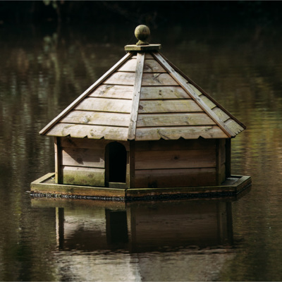 News, Blogs and Guides