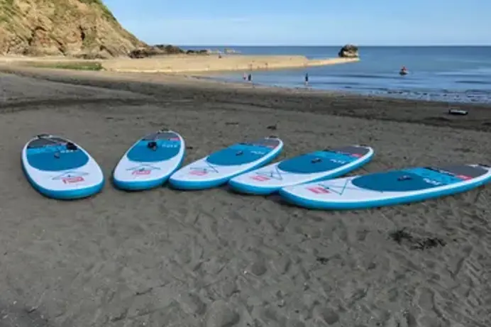 A selection of paddle boards on the sand of a beach near the water