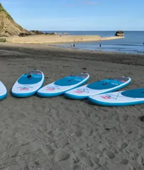 A selection of paddle boards on the sand of a beach near the water