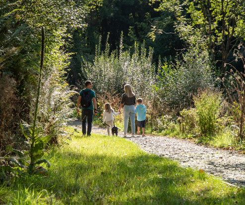 A family of four walking with a dog around a nature trail