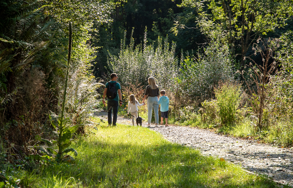 A family of four walking with a dog around a nature trail
