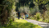 A family of four walking with a dog around a nature trail