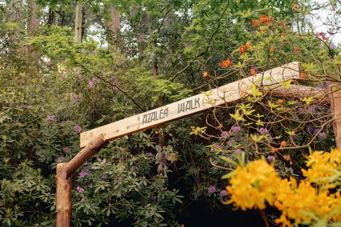 A walking trail at the Blue Pool